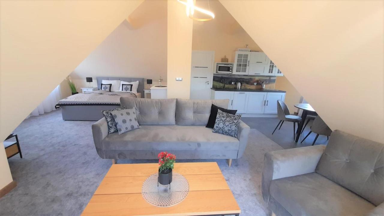 Apartamenty Geiger Witów Екстериор снимка